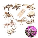 영공방 영플래닛 곤충만들기 시리즈