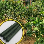 식물 지지대 화분 굵은 3P 텃밭