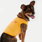 BYC BYC 공구요정 반려견용 보디드라이 쿨런닝 플러스 ODB0002