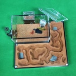 개미 키우기 둥지 사육장 관찰 여왕개미 체험 키트