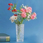 델리 유리 화병 꽃병 인테리어 오브제 꽃병 도트 2P