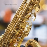 사운드리더 알토 색소폰 초보자 입문용 중급 SAXOPHONE 광스뮤직