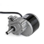 250W 24V 75 브러시 샤프트 직경 저속 또는 모터 120 휠체어 24V 120