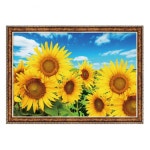 UNKNOWN UNKNOWN 500피스직소퍼즐 해바라기들판 액자포함 s PG521