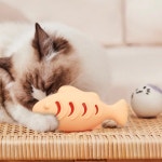 실리콘 간식 고양이 장난감 스크래쳐 피치