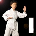 주짓수 100 코튼 가라테 유니폼 아이 WTF 태권도 킥 복싱 MMA 무술 훈련 옷 스포츠웨어