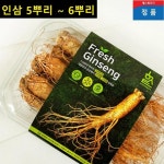 한국인삼유통공사 세척용 고려인삼 삼계탕인삼 어르신 부모님 고급선물 거래처 선물 삼계탕용 꽃인삼주 고급