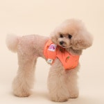 펫파파 쿨 후르츠 강아지 냉감 크롭 쿨링티 민트 아보카도 1개