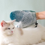 고양이 장갑 브러쉬 털빗 털제거 마사지 빗
