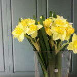 사각 플라스틱 PET 화병 No63A