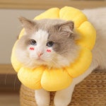 고양이 넥카라 강아지 깔대기 쿠션 목보호대 S