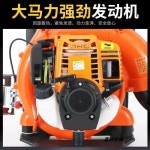 치파랠리 동력살분무기 안개분사 분무기 농약 방재기