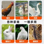 닭장 조립식 양계장 야외 새장 오리 토끼 케이지 사육장