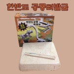 한반도 공룡뼈발굴 XLD공룡뼈발굴키트 공룡학습 공룡학습교구 과학학습교