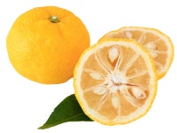 꽃샘 꿀 유자차S 2kg