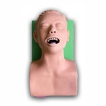 보우 기도확보 실습모형 마네킹 J3 보건교육