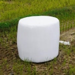 여물 멀칭 생짚 볏단 비육우 흑염소 소 밥