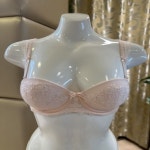 비너스 비너스 레이스 반컵 오프숄더 웨딩 브래지어 AB 85A VBR1679-SP