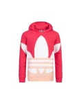 아디다스 아디다스 키즈 BIG TRF HOODIE GD2721