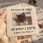 치타박스 반려동물 포토 도어사인 현관문패 명패