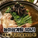 능이버섯 한약재 국내산 능이삼계탕 1 5kg 6개