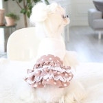 강아지 콩콩 스타일 도트 원피스 고품질 캉캉 땡 NPTT9670