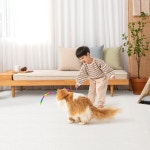 펫노리터 펫노리터 셀프시공 논슬립 미끄럼방지 롤매트 묘하개끌리지 1개