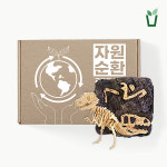 자연에버리다 천연소재 교육용 커피박 공룡 발굴키트 화석발굴 집콕 놀이 순환자원 업사이클링 교구 자원순환