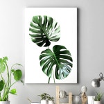 아란아트 인테리어 캔버스 식물 액자 해바라기 북유럽 포스터 카페 거실 사무실 이사선물 보테니컬 기획전 07 N 몬스테라2 05 30호 60x90 cm