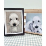 맞춤제작 반려동물 초상화 양모초상화 다문입 1개