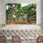 생기 금전운 재물운 소나무 숲 복들어오는 그림 민화 풍수 인테리어 집들이 선물 17 소나무 풍경 캔버스액자 60x40