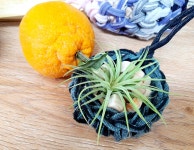 행잉화분 편백칩 양말목공예 업사이클링 DIY KIT 환경교육키트