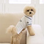 펫츠랜드 펫츠랜드 올웨이즈티셔츠 강아지여름옷 강아지옷