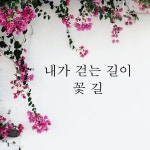 MUSE 내가 걷는 길이 꽃길 레터링 글귀 스티커 시트지
