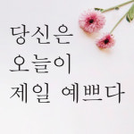 단비데코 감성레터링 스티커 감성문구 응원 명언 현관문 포인트스티커 L사이즈 L-70오늘이제일예쁘다-블랙