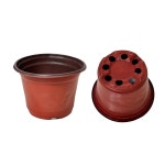 플라스틱 분갈이 다육이 모종 연질 화분 미니 A305