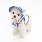 오드펫 오드펫 또또또 친구들 선캡 강아지산책 강아지썬캡 산책용 애견모자 자외선차단