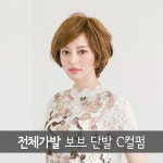 가발닷컴 여자가발 전체가발 통가발 보브 단발 C컬펌 여성통가발 3 색상상담문의 1개