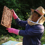 대암산꿀벌농장 숙성 천연 벌꿀 피나무꿀 햇꿀 2 4kg