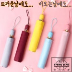 UV자외선차단 3단 자동 양산 우산 29 꽃비 고양이