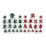 8000 장기알