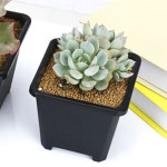 네모 분갈이 중형 사각화분 미니꽃화분 화분