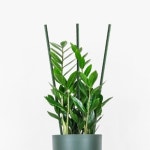 식물키우기 원예용 식물지지대