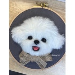 반려동물 양모펠트 반입체 초상화 1색 단모 발 입체