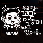 뭉키데코 코코 우리집 꼬마악동이 타고있어용 LSC-366