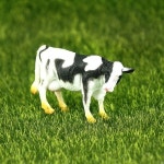 미니어처 젖소 6x3 10개 BL-5009