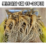 풍기인삼 못난이 막삼 1채 15 30뿌리 2개 750g