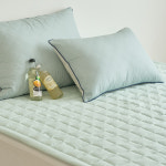 모던하우스 모던하우스 스웰 알러지케어 솔리드 Q 패드 150x200 민트