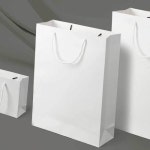 포장가방 포장백 선물용쇼핑백 선물종이가방