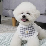 강아지 체크 케이프 1P 애견 사이즈조절 턱받이 삼달이